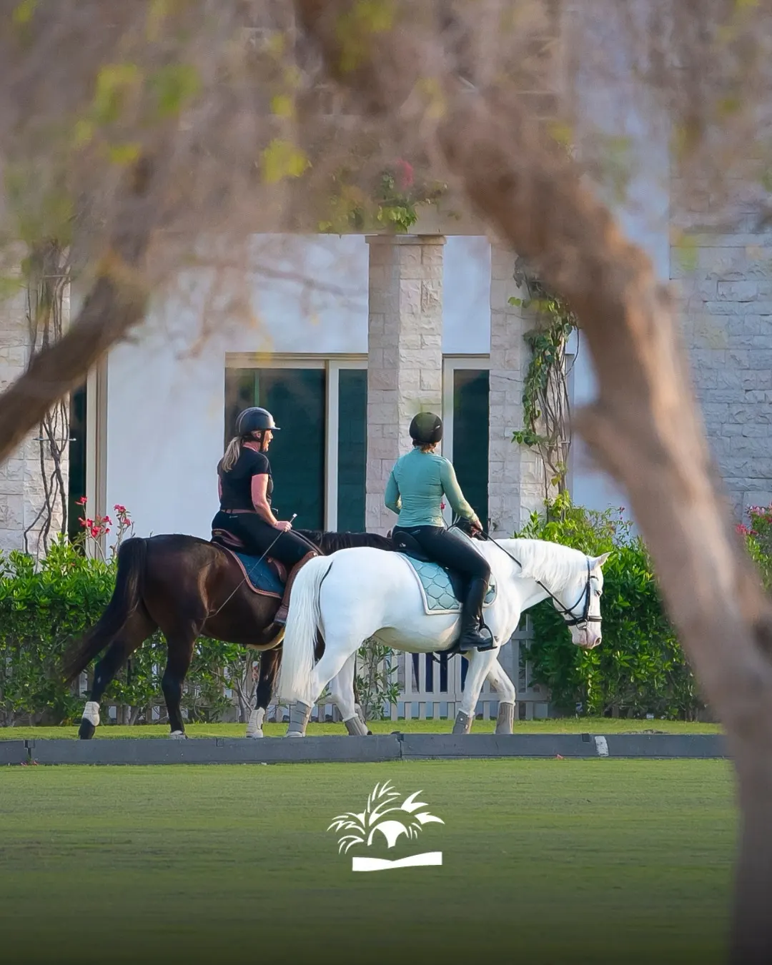 Desert Palm Equestrian Centre — photo
