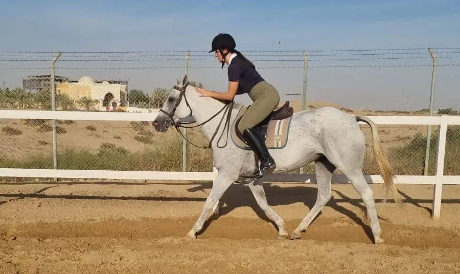 Al Madam 2 Equestrian Club — photo