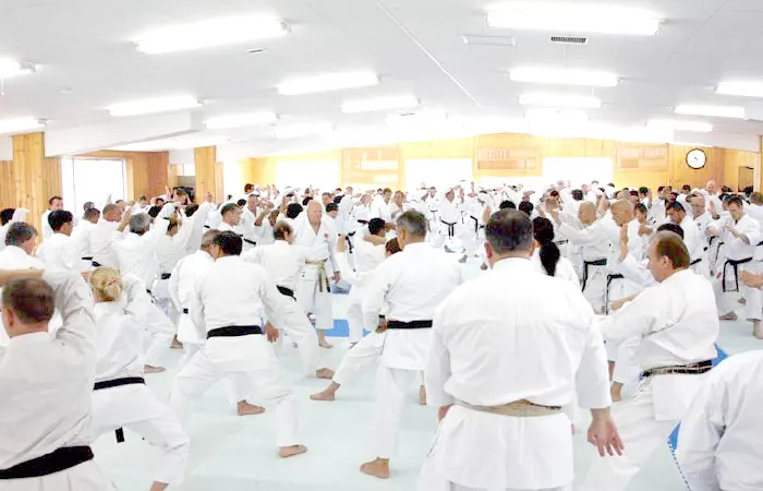 International Karate Center Dubai — photo