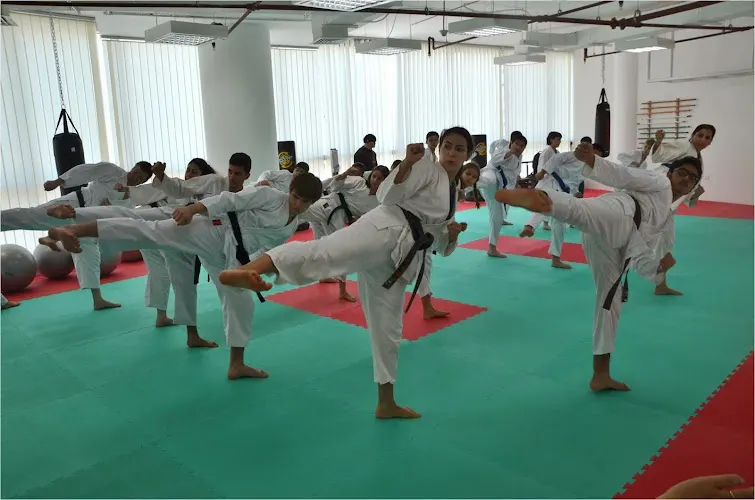 Traditional Martial Arts & Fitness — photo