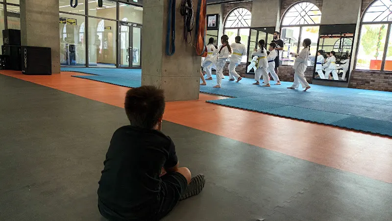 Moo Duk Taekwondo — photo