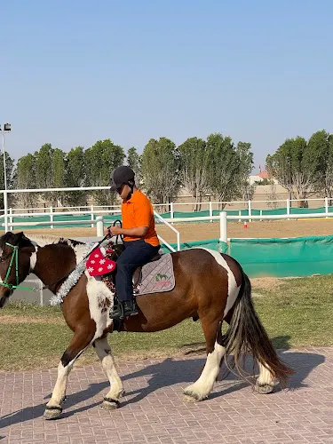 Al Marmoom Initiative — photo