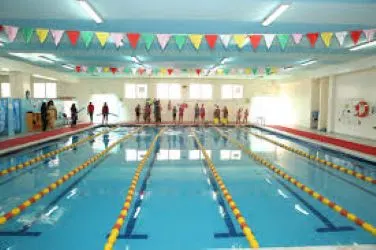 Race Pace Swimming — photo