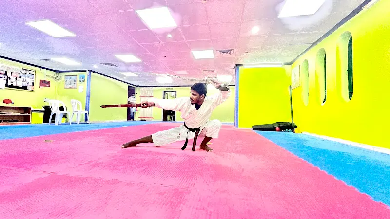 Golden Falcon Karate Centre — photo