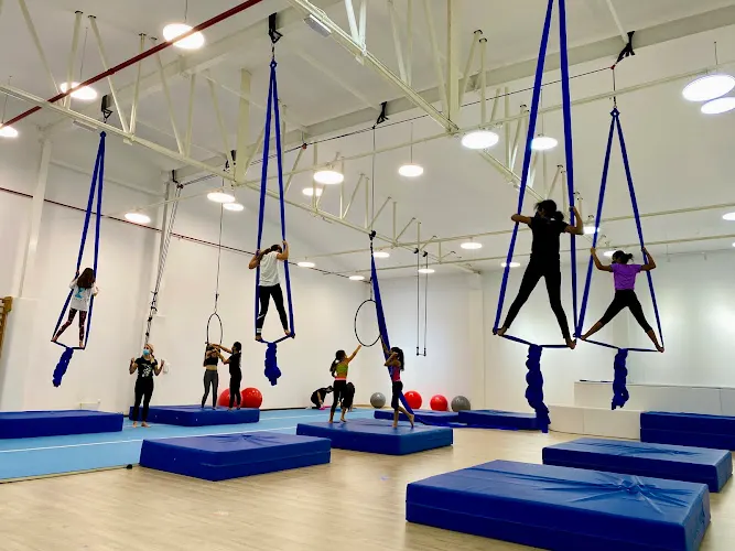 Dubai Circus School — photo