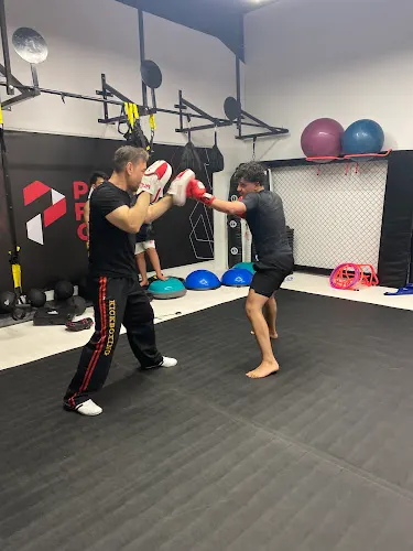 Paladin Fitness Club — photo