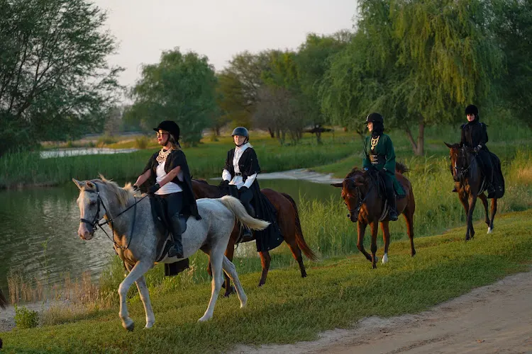 Dubai Horseback Riding at the Al Marmoom Oasis — photo