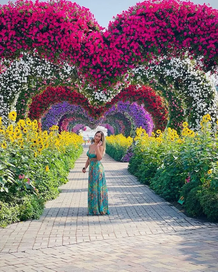 Dubai Miracle Garden — photo