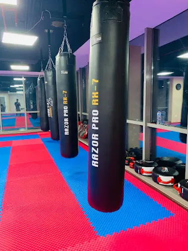 Fitness Pro — photo