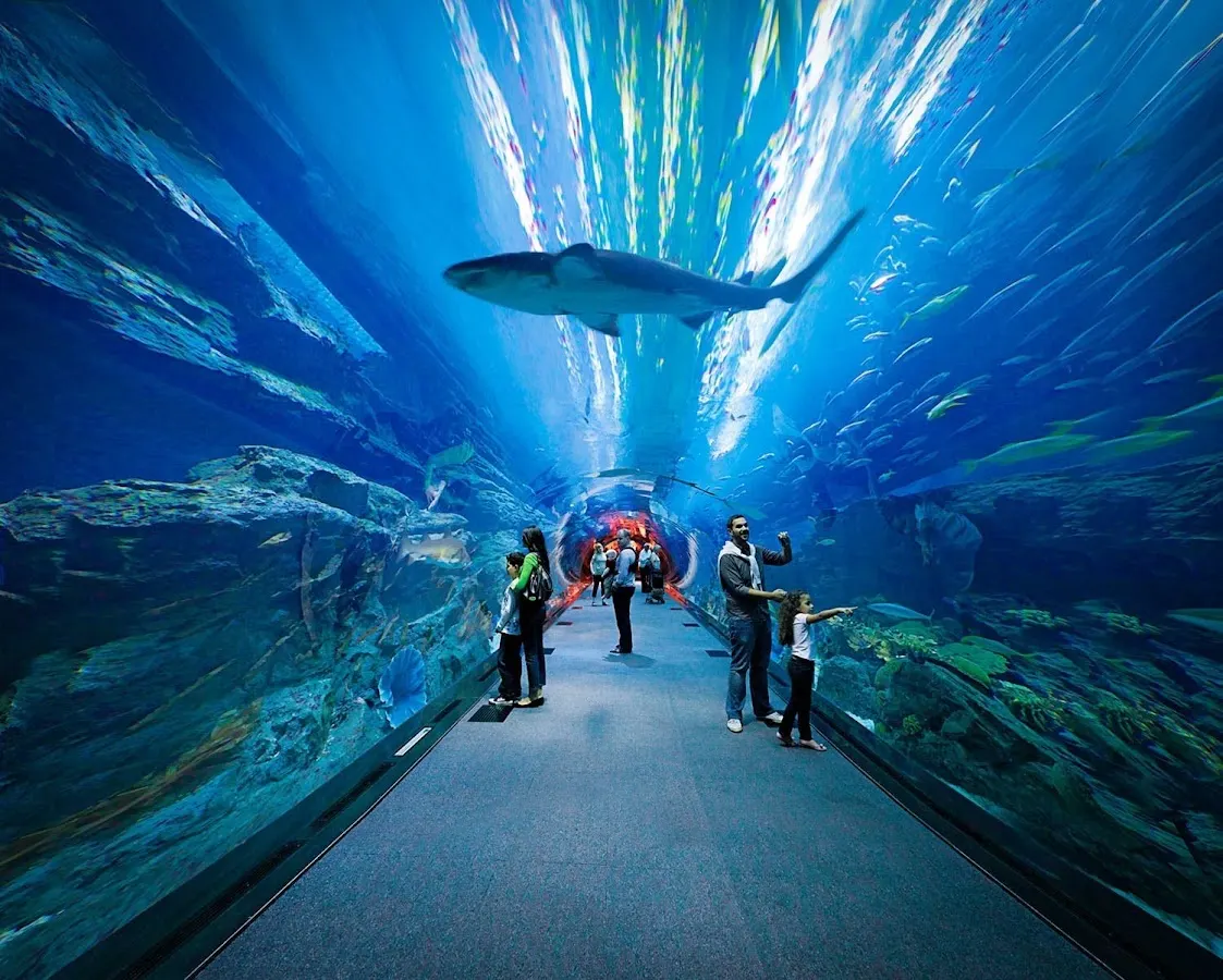 Dubai Aquarium & Underwater Zoo — photo