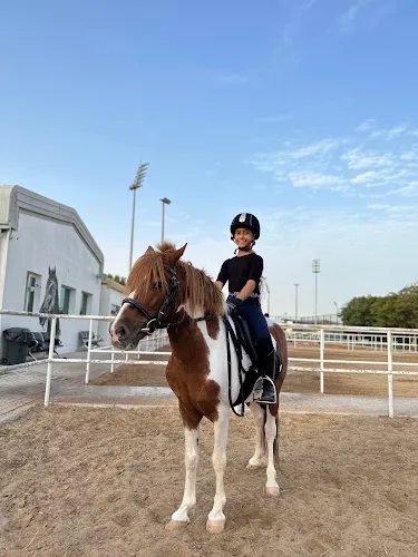 Al Hayat Horse Riding School — photo