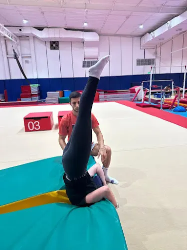 Gymnastics With Brothers — photo