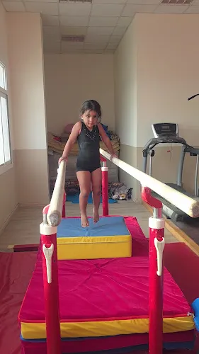 Royal fit gymnastics club — photo
