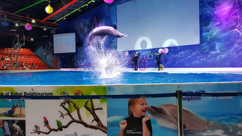 Dubai Dolphinarium — photo