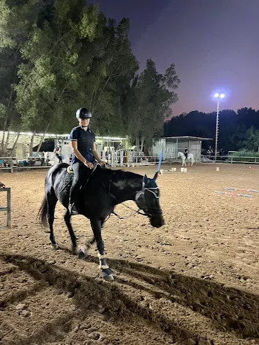 European Equestrian Academy — photo