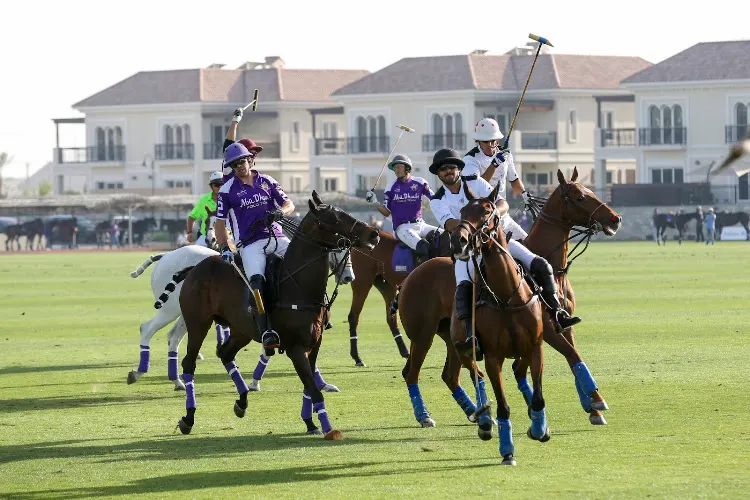 Al Habtoor Polo Club — photo