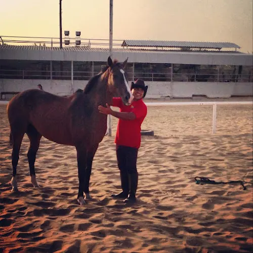 Winners Equestrian Club — photo