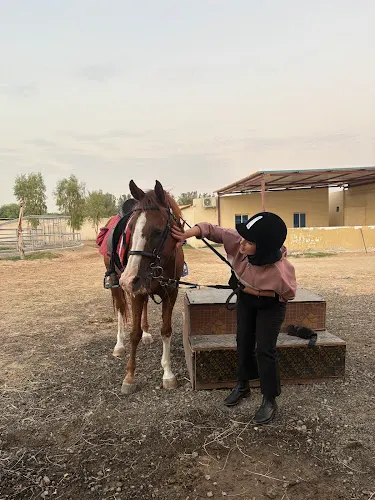 Al Jiyad Stables — photo