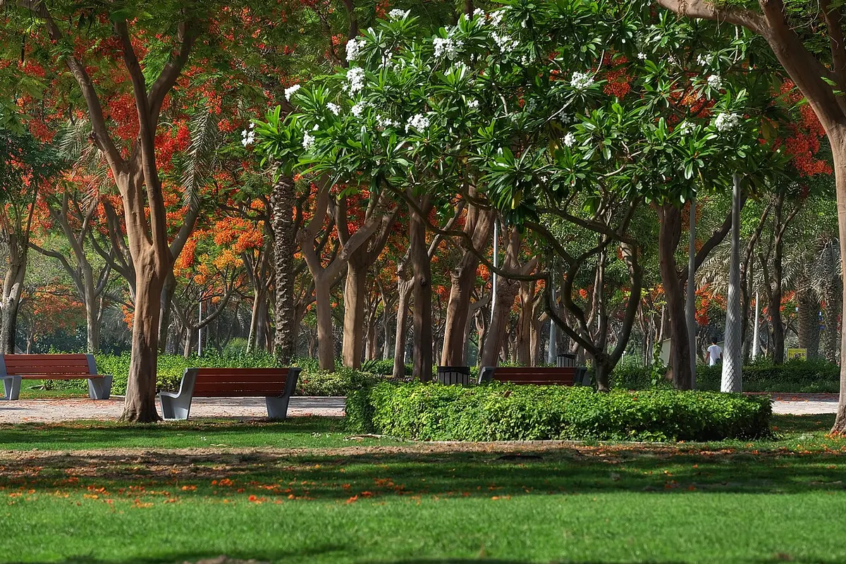 Zabeel Park — photo