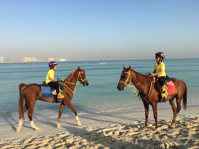 Aayan Equestrian Club — photo