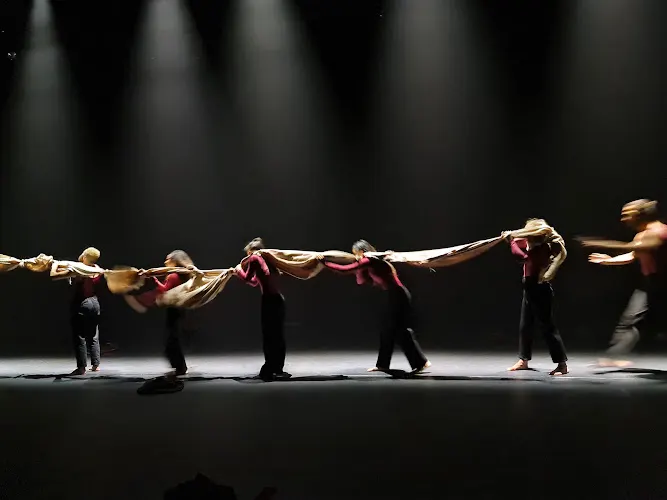 Sima Performing Arts and Music — photo