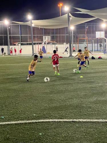 Seven Falcons Sports Academy — photo