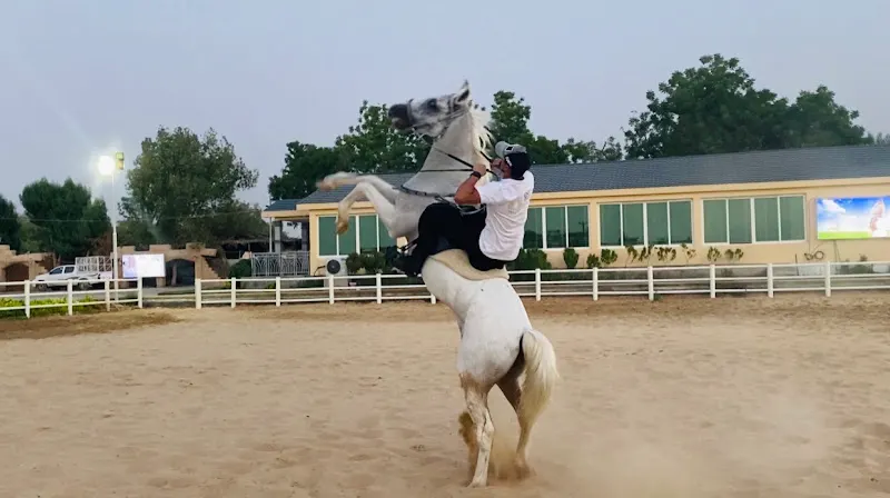 Elite equestrian club — photo