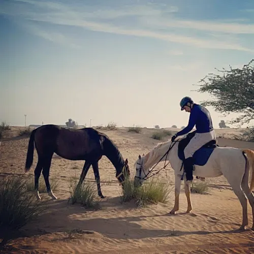 Sahara Stables — photo