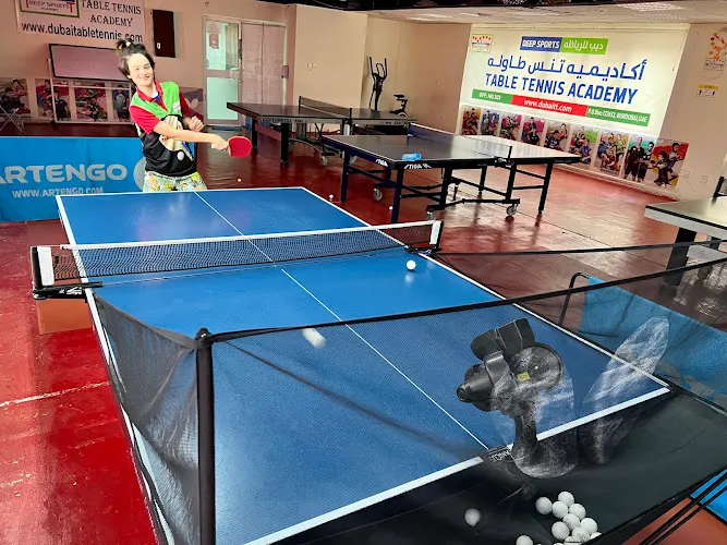 Deep Sports Table Tennis Academy — photo