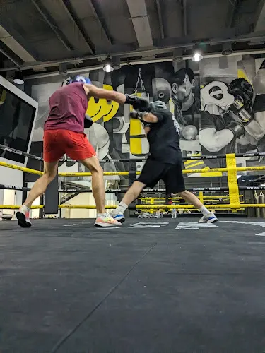 Rocky Road Boxing Club — photo