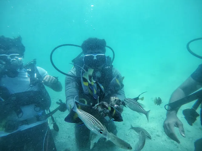 Bermuda Diving Center — photo