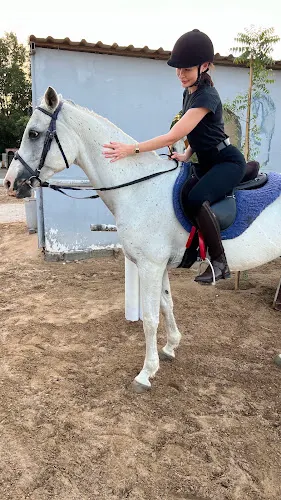 Al Wasl Equestrian Stables — photo