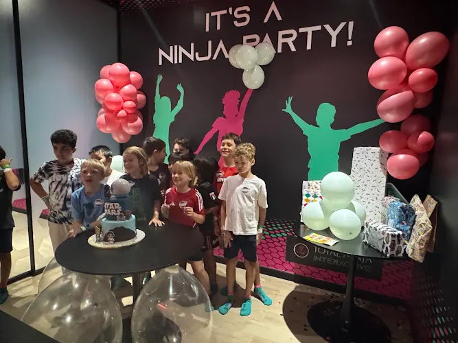 Total Ninja Interactive - Motor City — photo