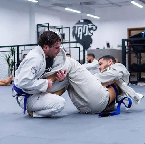 Falcons MMA — photo