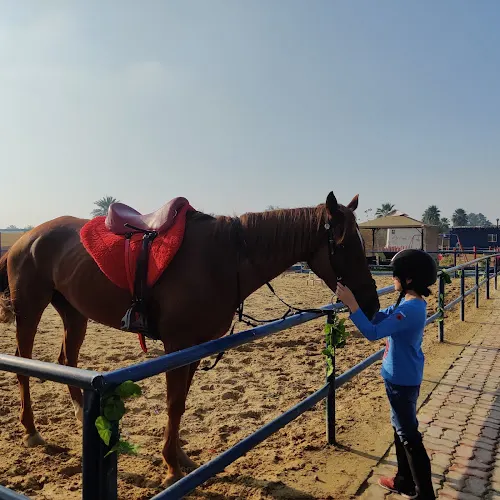 Arabian Star Stables — photo