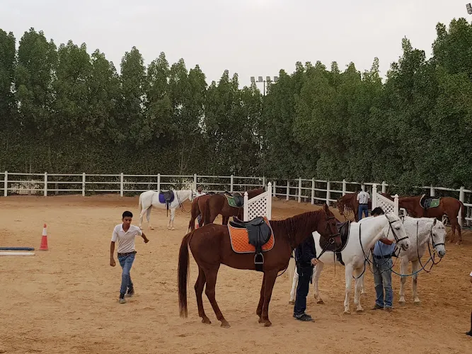Sustainable City Equestrian Club — photo