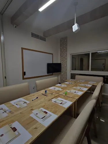 The Olive Tree Language Training — photo