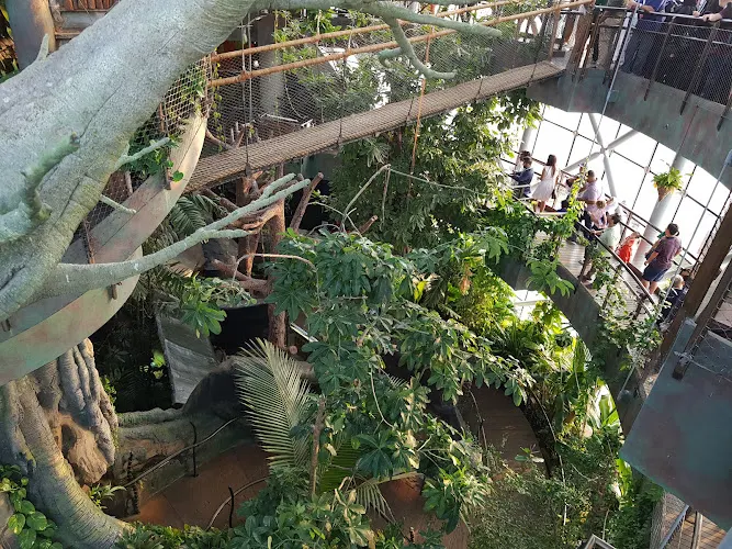The Green Planet Dubai — photo