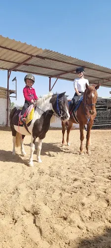 Al Dhabi Horse Riding — photo