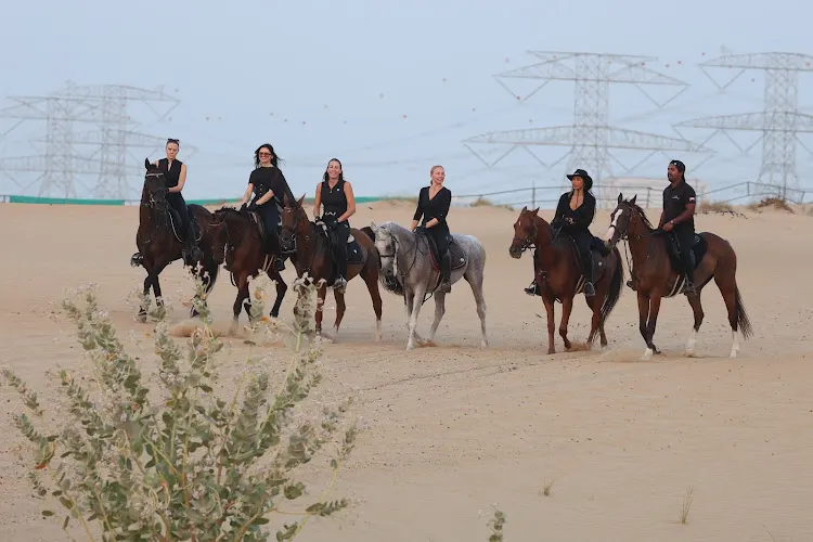 DXB Horse Riding — photo