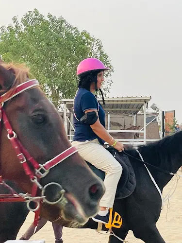 SQ7 Equestrian Center — photo