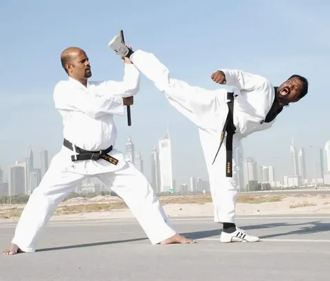 Golden Fist International Academy - photo 3 of 3
