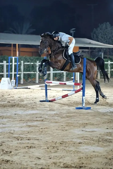 JSR Equestrian Club - photo 3 of 4