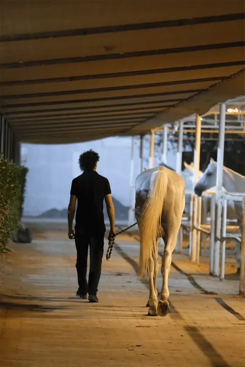 JSR Equestrian Club - photo 4 of 4