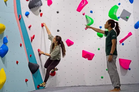 GoClimb - photo 3 of 9