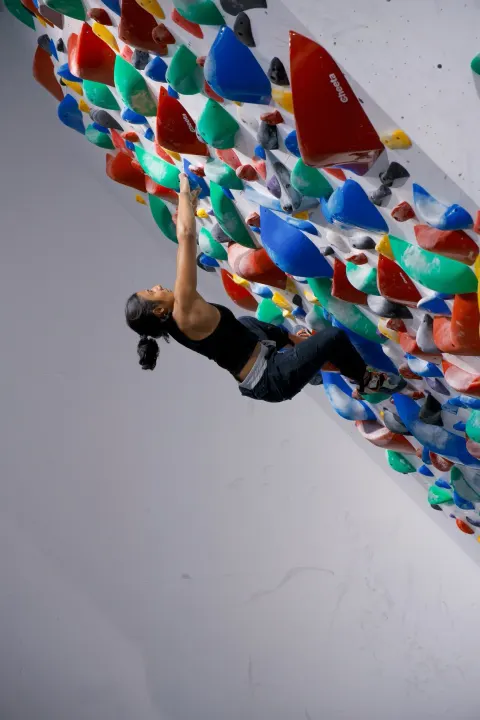 GoClimb - photo 7 of 9