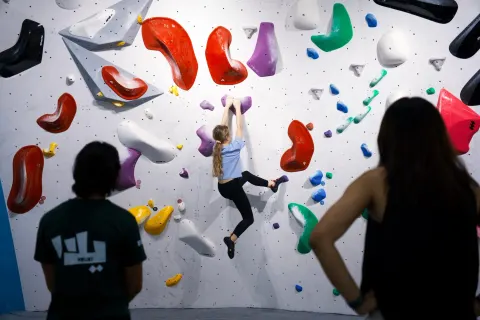 GoClimb - photo 5 of 9