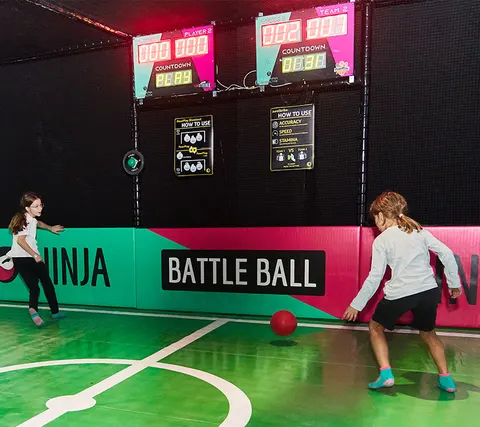Total Ninja Interactive - Motor City - photo 3 of 4