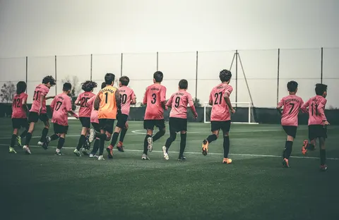 Alliance Football Club - photo 2 of 2