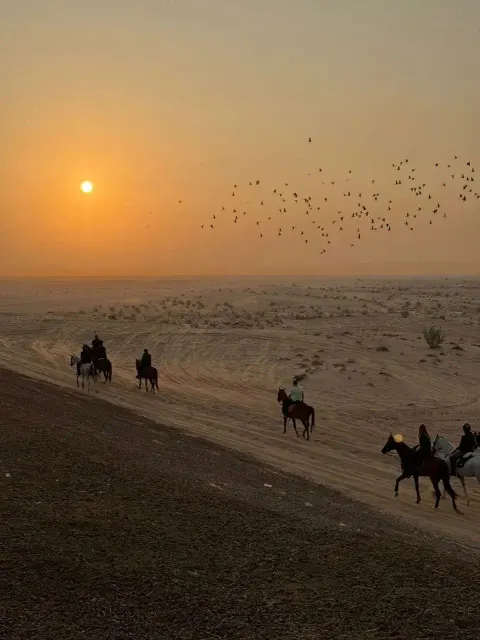 DXB Horseriding - photo 4 of 7